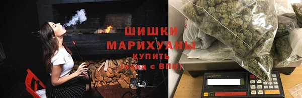 гидропоника Бородино
