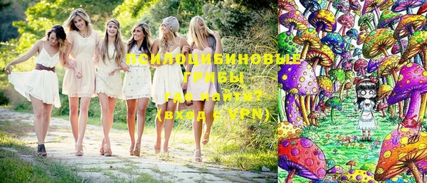 spice Верхний Тагил