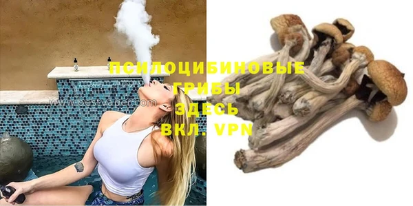 spice Верхний Тагил