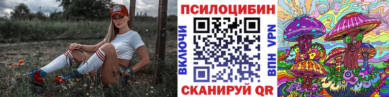 Псилоцибиновые грибы Psilocybe  Нальчик 